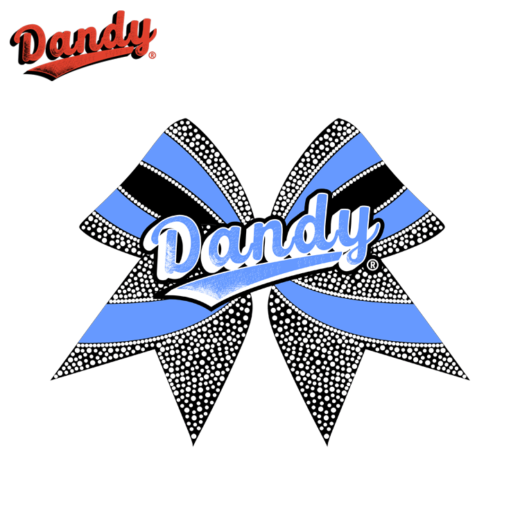 Appareled look for cheer competitions with our new bling cheer bows