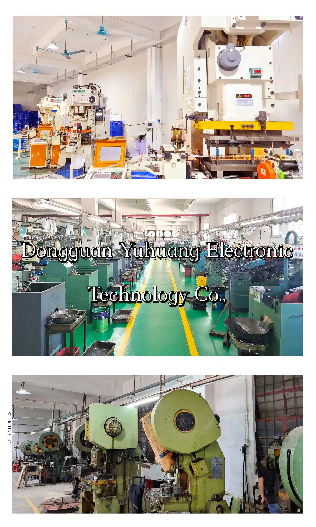 Manufacturer Customizable Small Stainless Steel Wire Torsion Spiral Tension Compression Spring supplier