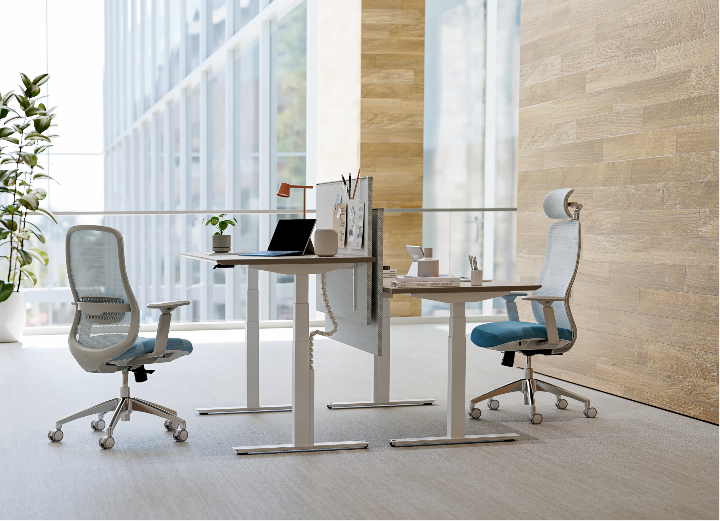 Standing Desk vs Sitting Desk: Which Is Better for Office Productivity?