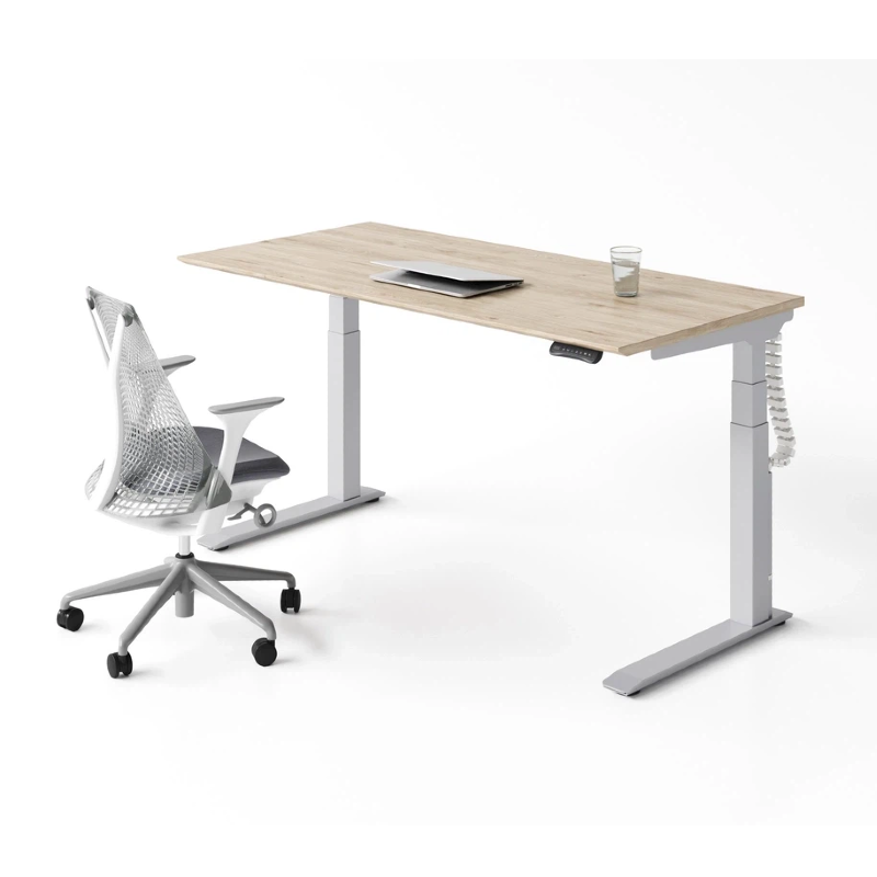 Modern Office Desk Height Adjustable Table Electric Sit Stand Desk
