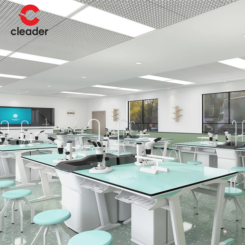 Lab Table Laboratory Bench Furniture Multifunction Work Bench Table