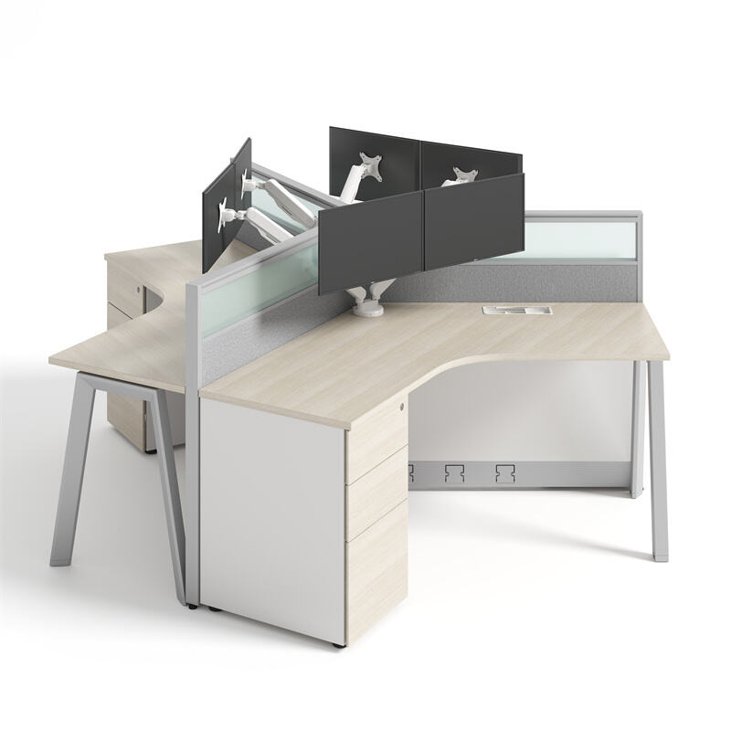 Modern Mobile Modular Office Screen - workstation