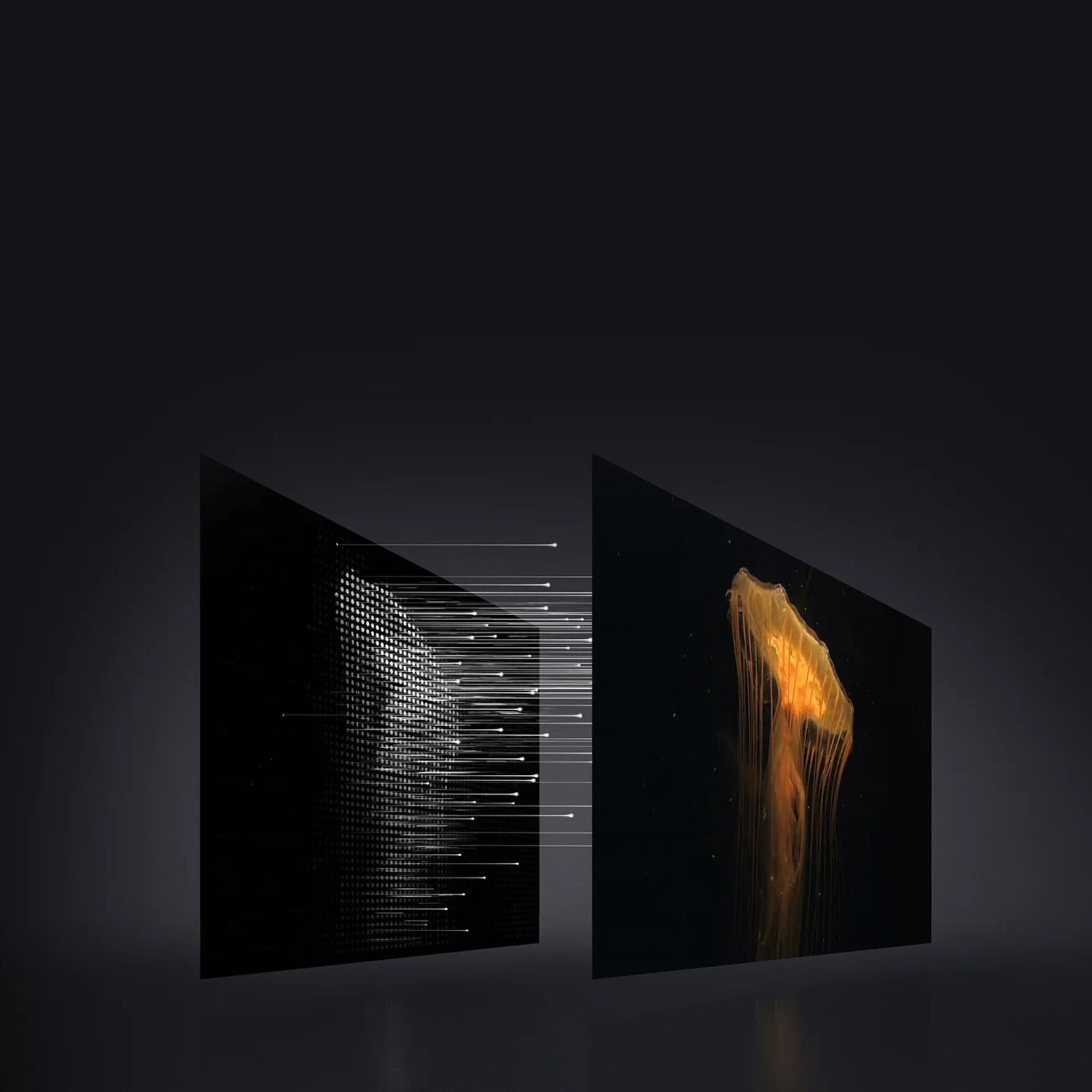 Innovative Audio Experience