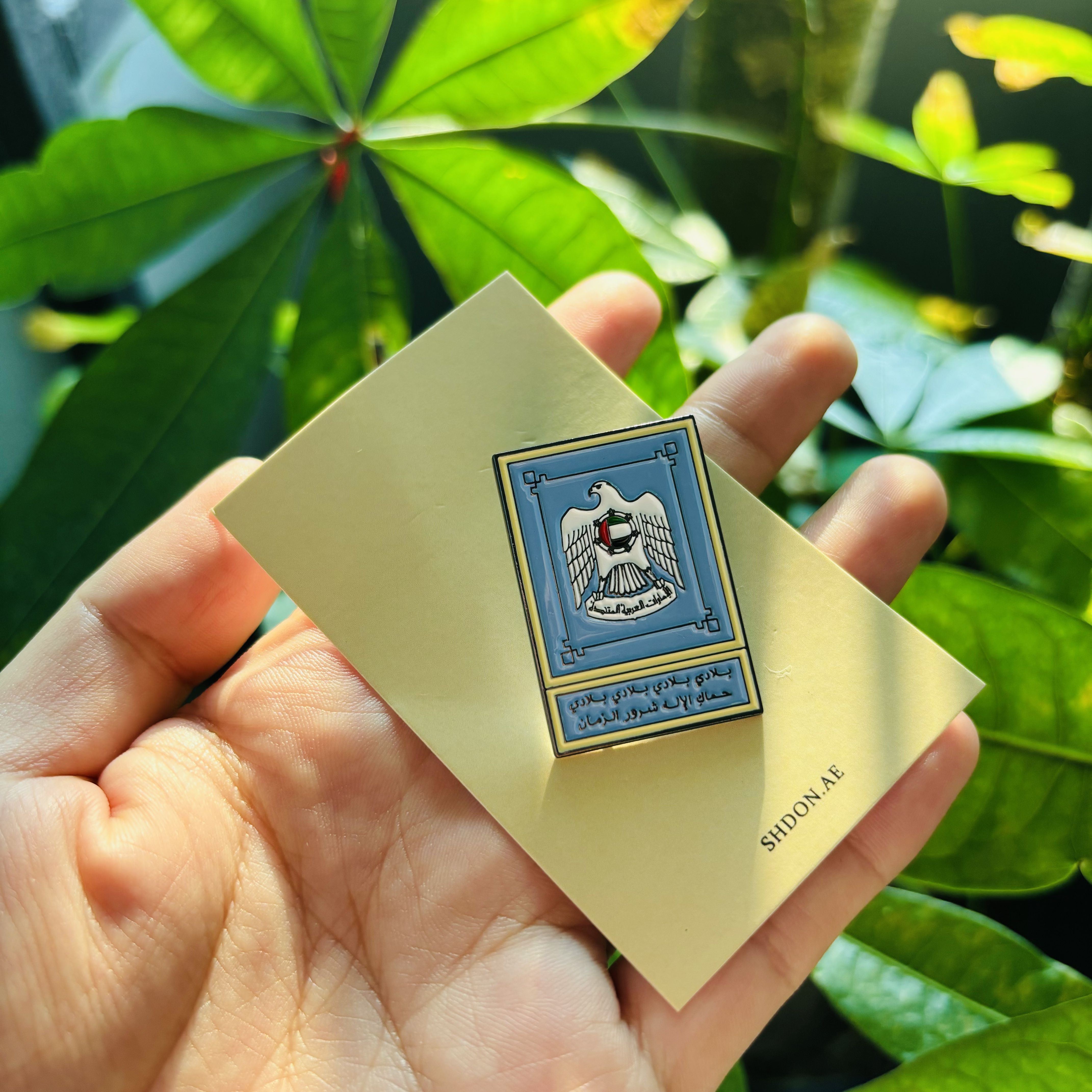 الفرق بين دبابيس المينا اللينة والمينا الصلبة