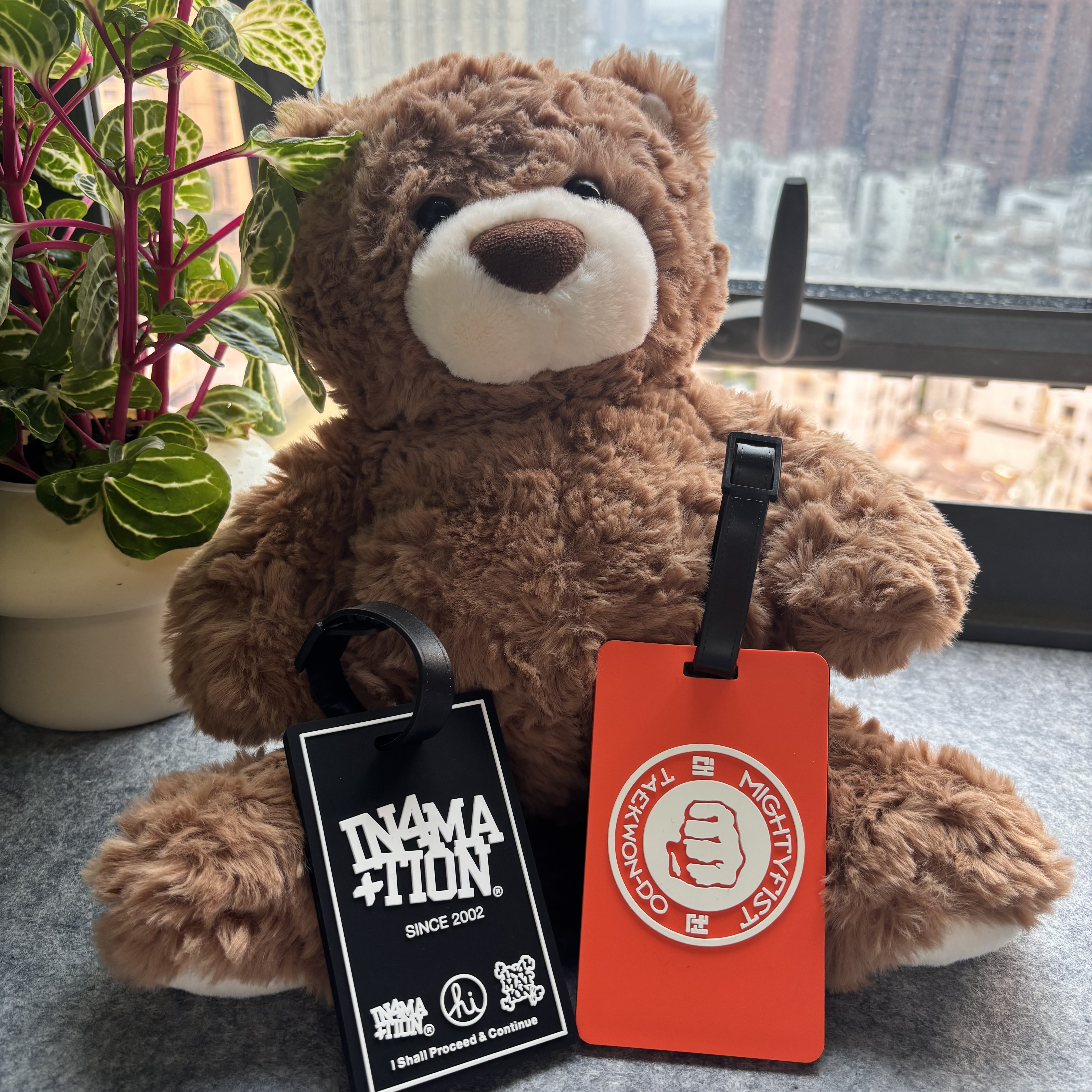 Borsa con Nome Logo Personalizzato Accessori da Viaggio con Stampa a Sottrazione Cinghia in Plastica Strap in Silicone PVC Etichetta Bagagli