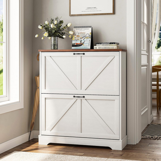 Introduction to the Shoe Storage Problem