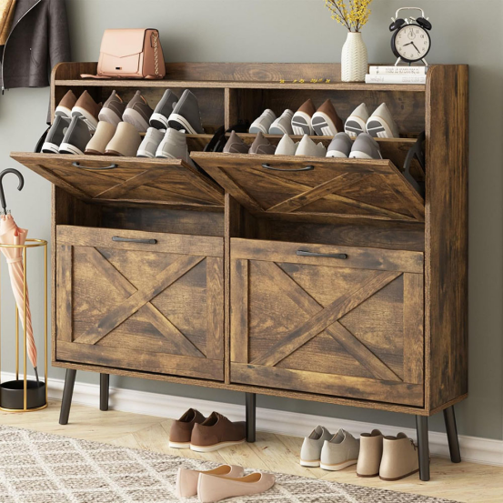 Introduction to the Shoe Storage Problem
