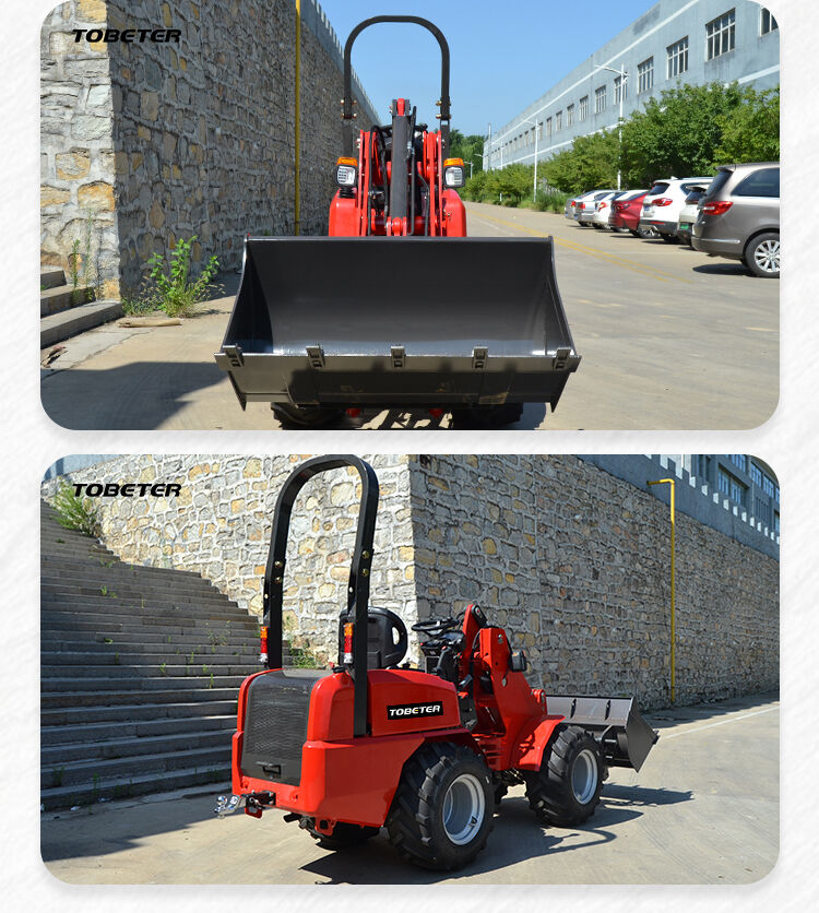 Small Wheel Loader