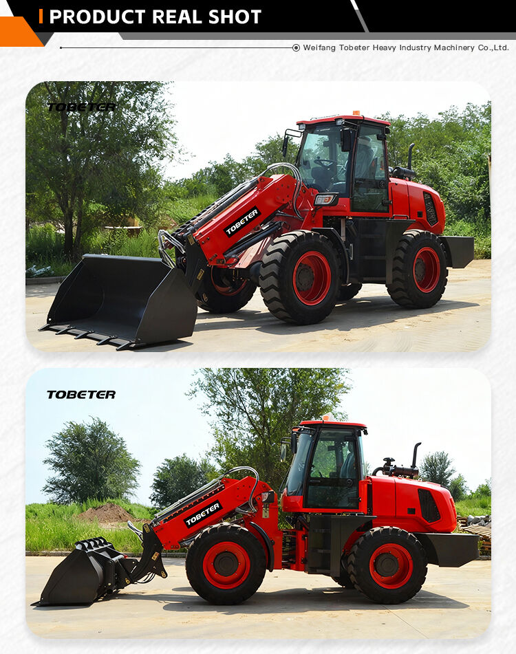 Telescopic Loader