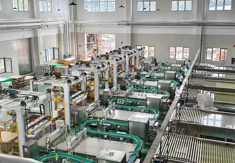 Efficient Glass Bottle Washing Machine for Hygienic Packaging Applications