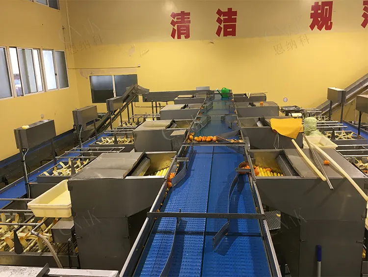 Macchina pelatrice versatile per frutta, efficiente e delicata
