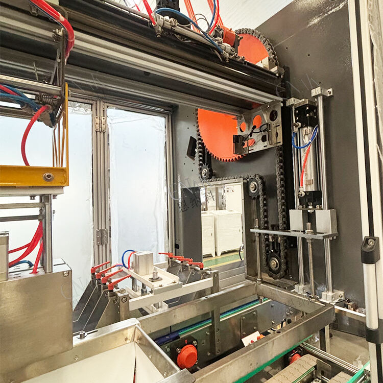 What Contributions Does Tianjin ENAK Automatic Carton Erector Make to Packaging Line Flexibility?