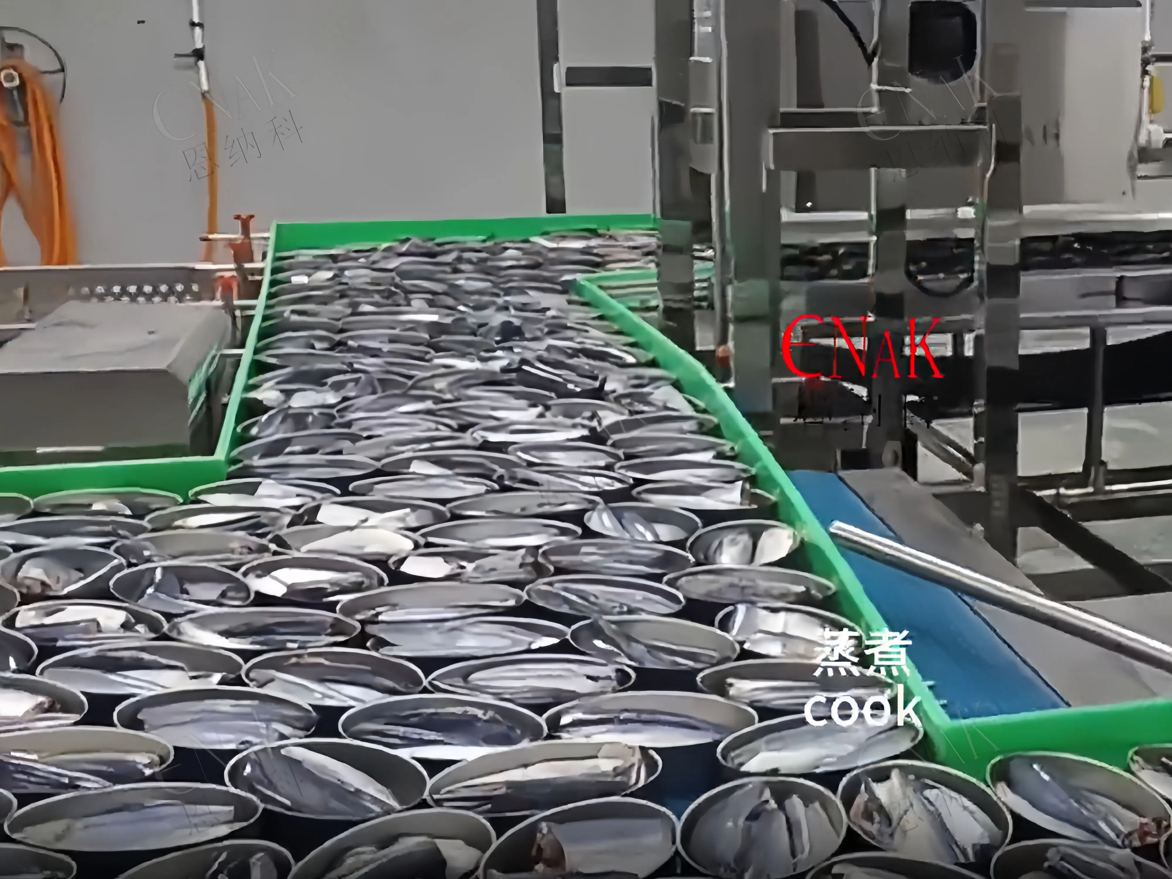 Fish canned food production and packaging line