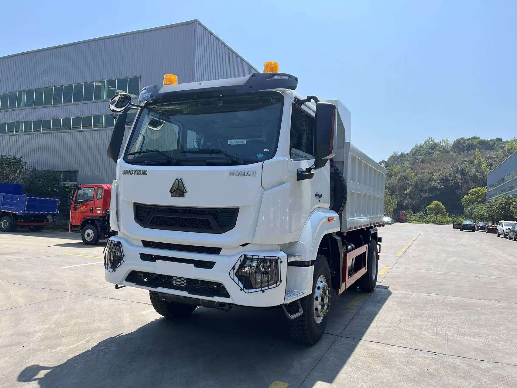  HOMAN 4x2 Dump Truck