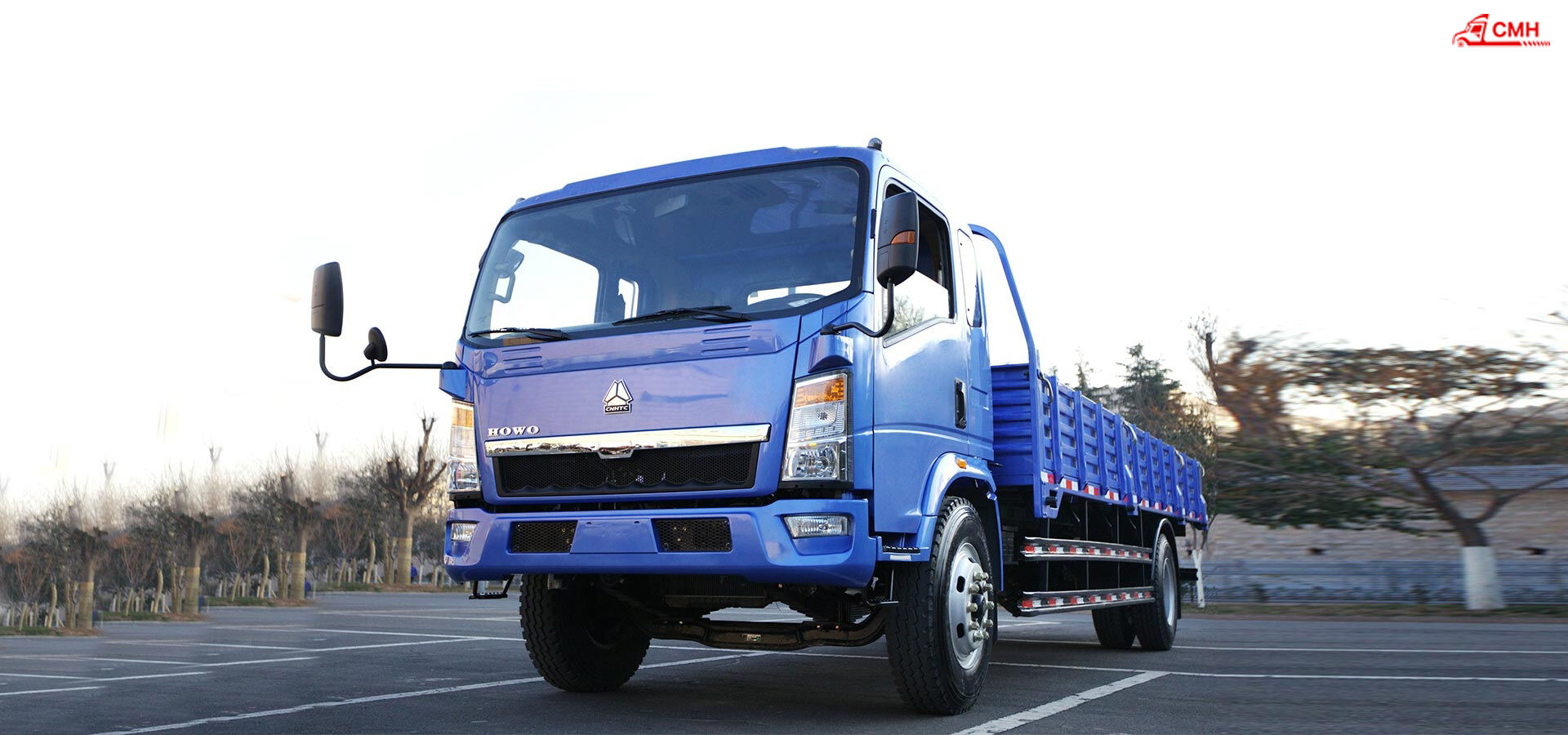 LIGHT TRUCK 8T