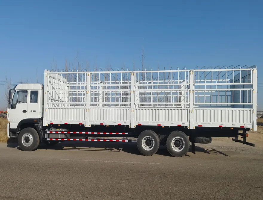 CAMIÓN DE CARGA SINOTRUK 4X2 (10T)