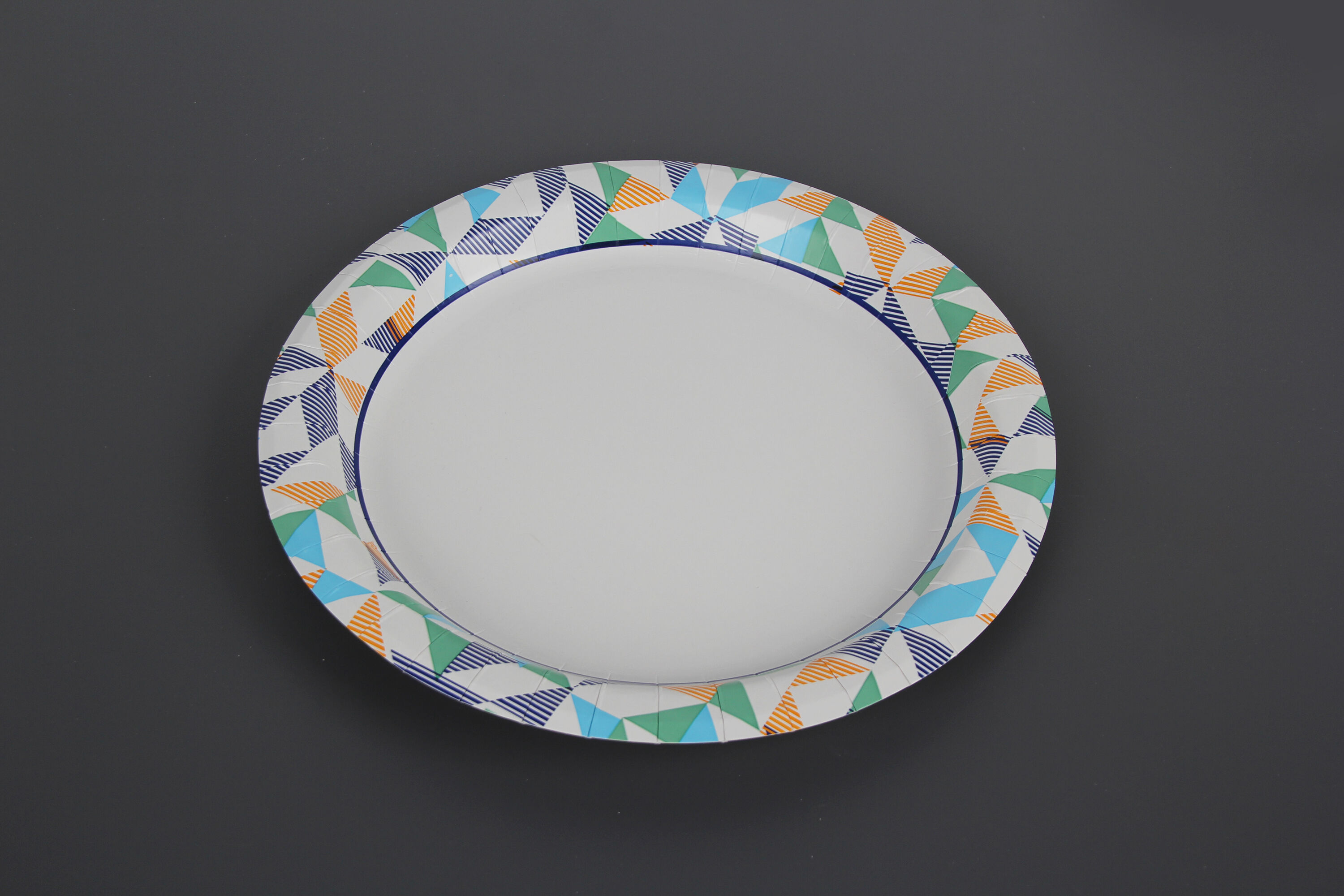 Paper Plate-5.JPG