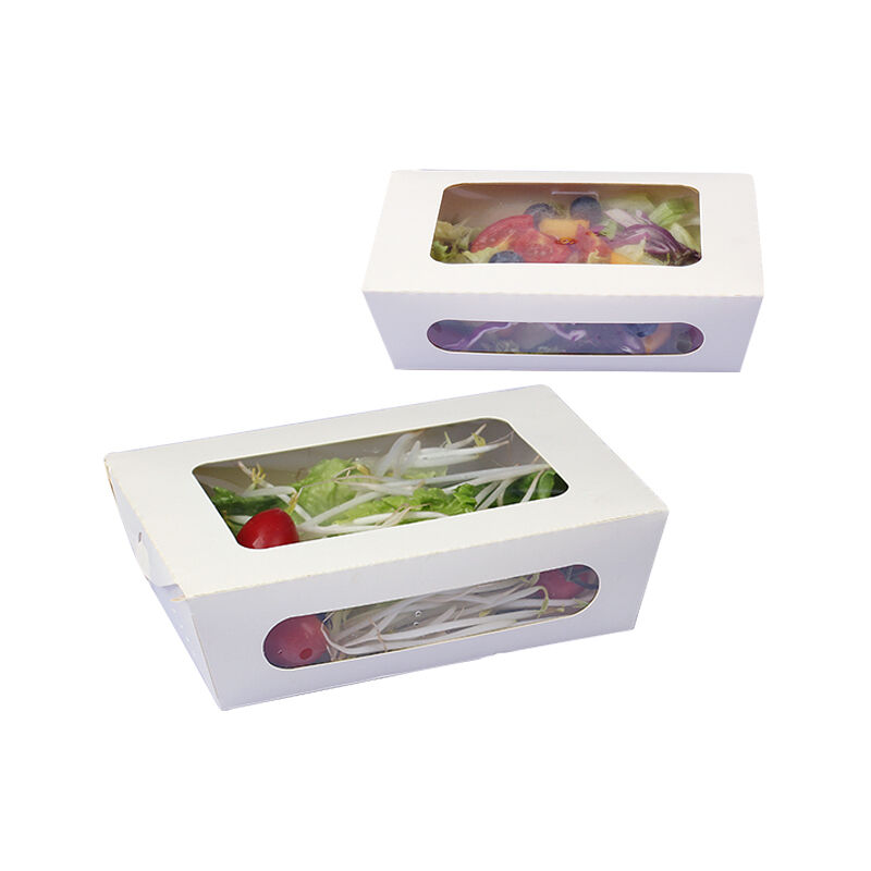 Disposable Takeaway Two Window Lunch Box