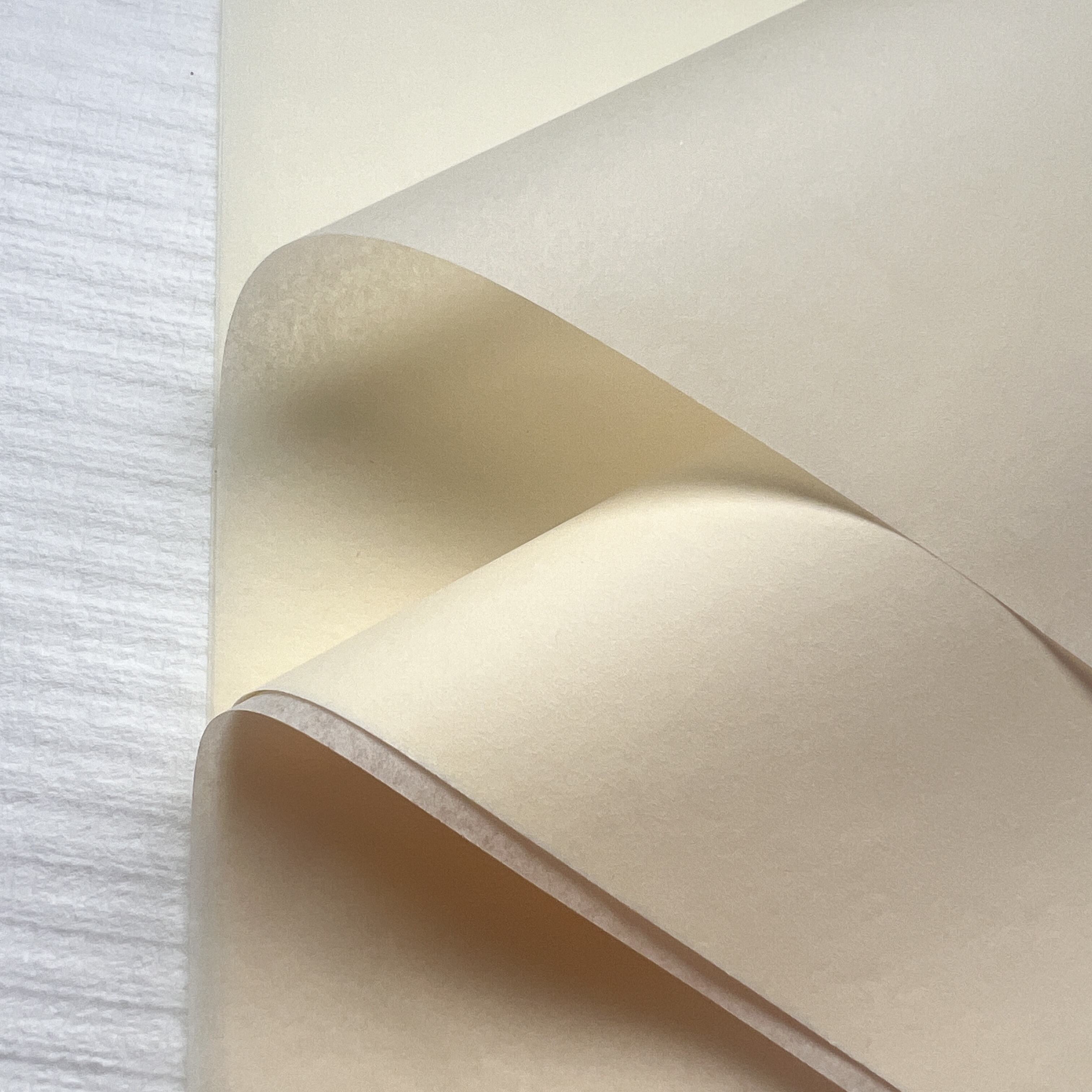 Pse të zgjidhni PUTIAN C&Q PAPER CO.,LTD si prodhuesin tuaj të letrës për buqeta?