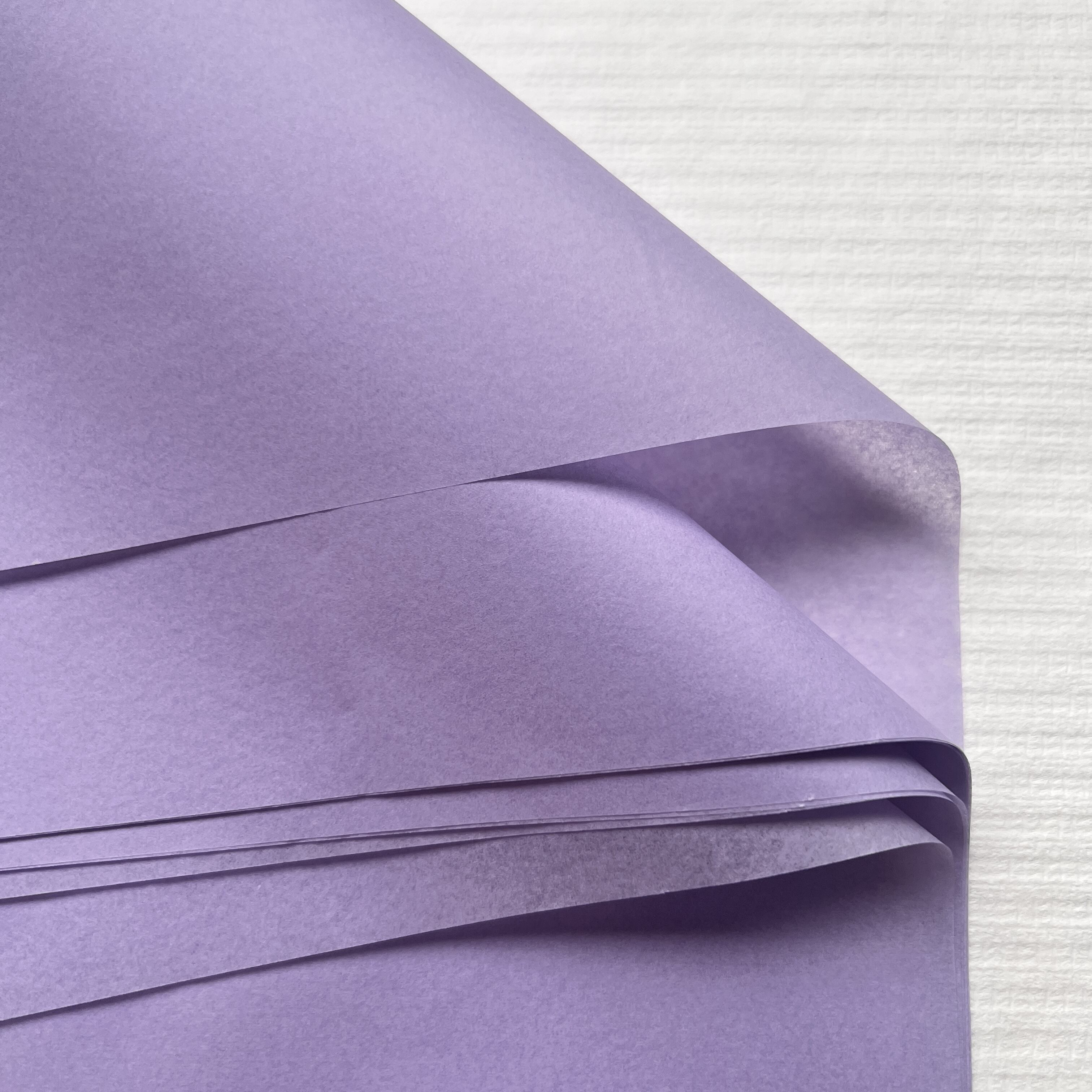 Cáilíocht agus Iolghnéitheacht Neamhchoibhneasta na Páipéar Tissue Boga