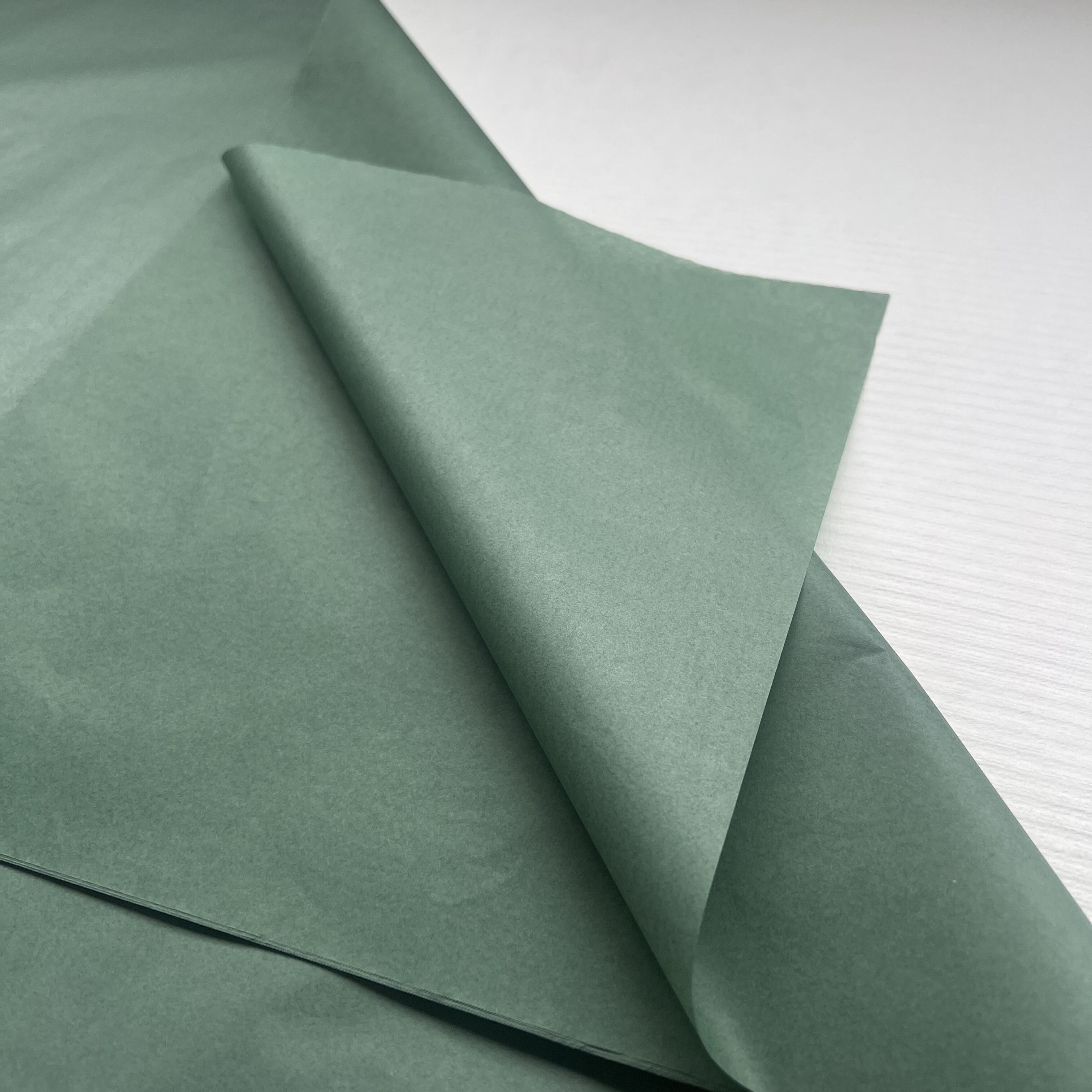 Roghanna Saincheaptha