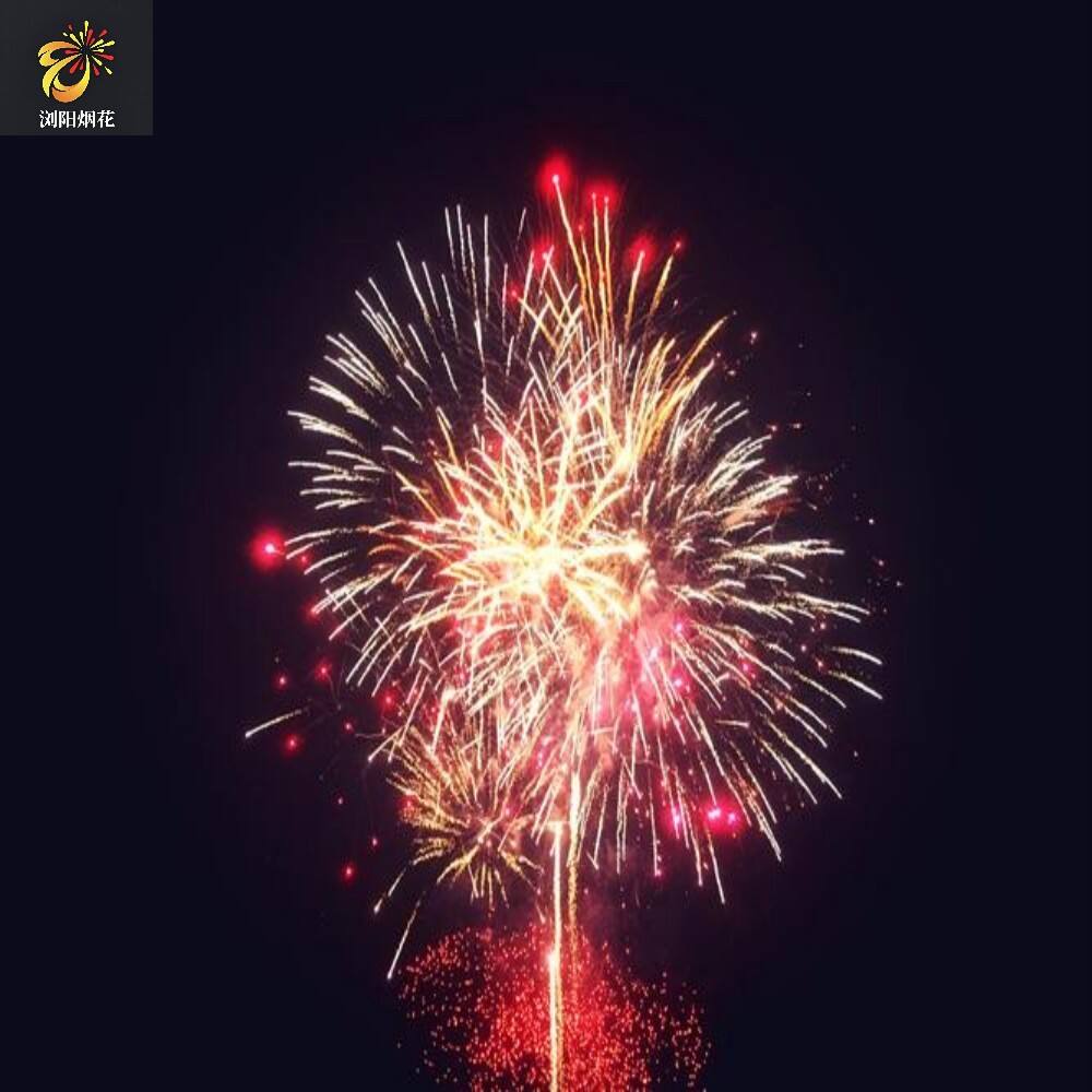 Chinese Hunan Factory Wholesale Cake Fireworks Professional Fireworks Cake Pyrotechnics 1.3g and1.4g Outdoor Fireworks（Blossoms in Rivalry）