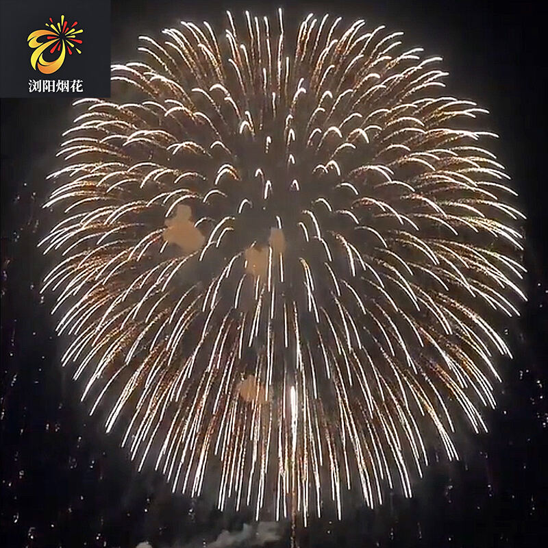 Hunan Fireworks Manufacturing, kineska tvornica vatrometa, profesionalni vatromet profesionalni vatrometni kolač 1.3g i 1.4g vatromet za vanjsku uporabu (Meteor cvjetnog kiša)