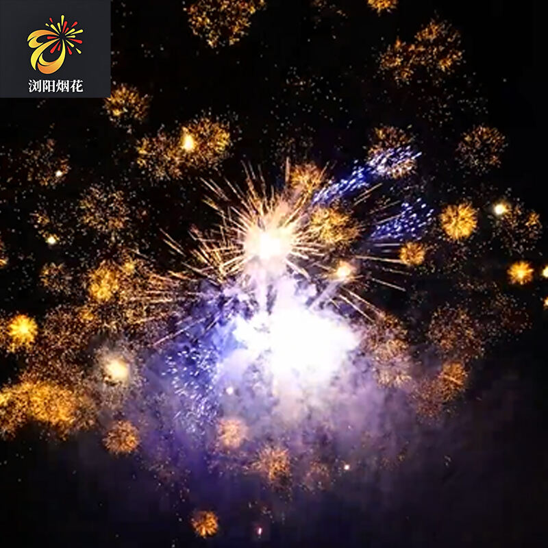 Hunan Fireworks Manufacturing, kineska tvornica vatrometa, profesionalni vatromet profesionalni vatrometni kolač 1.3g i 1.4g vatromet za vanjsku uporabu novi vatromet u čudnovatim efektnim slikama potrošački (ples plamena)