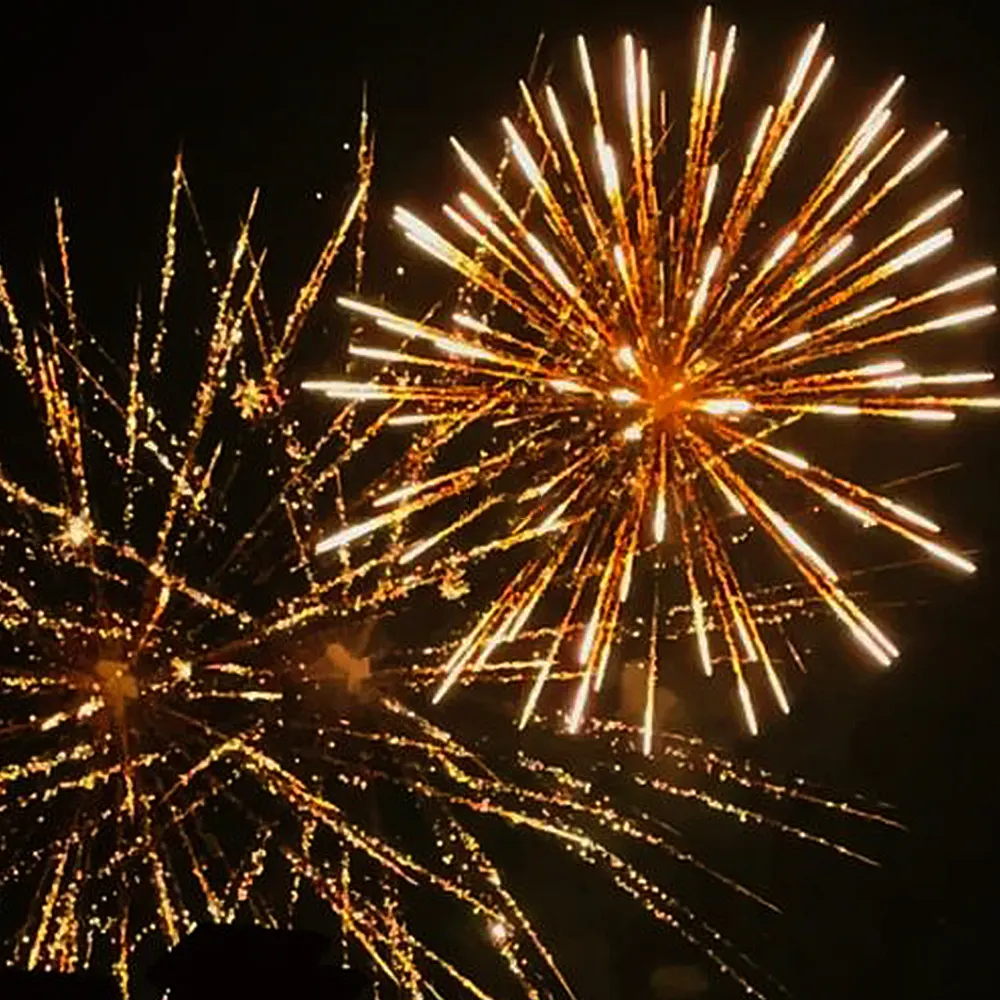 Professional Fireworks for Weddings, Festivals, and Large Outdoor Events