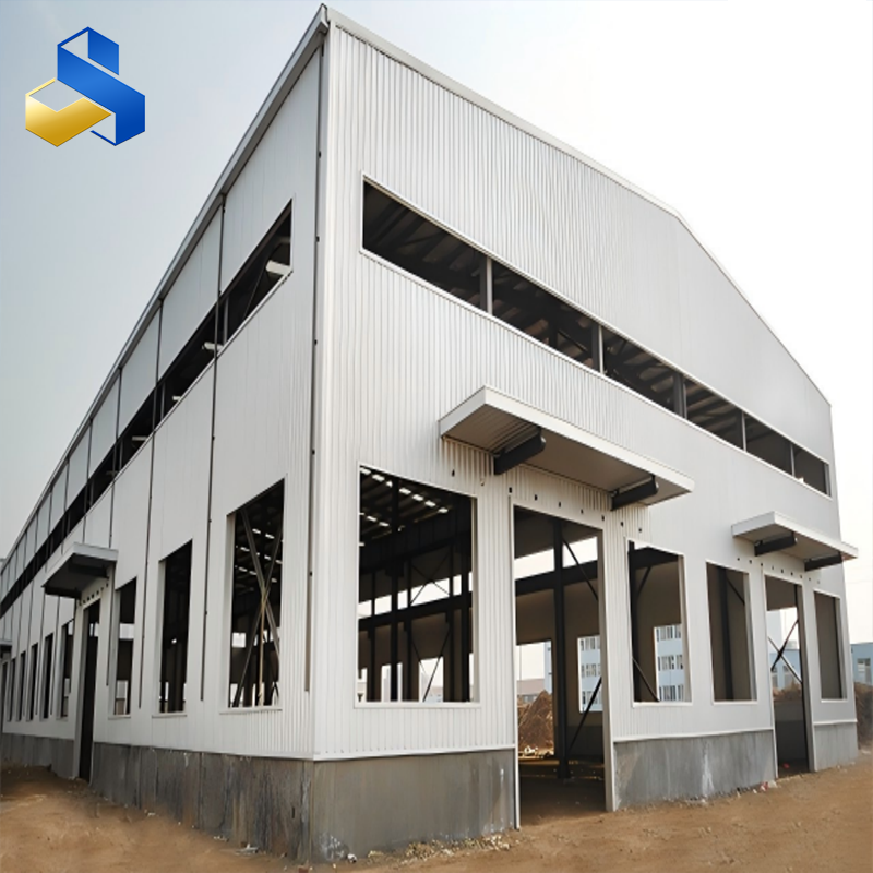 Steel Structure Building