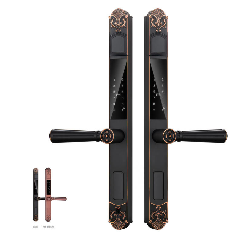 T1 Semi-automatic Dual Sided IP68 Courtyard Smart Lock