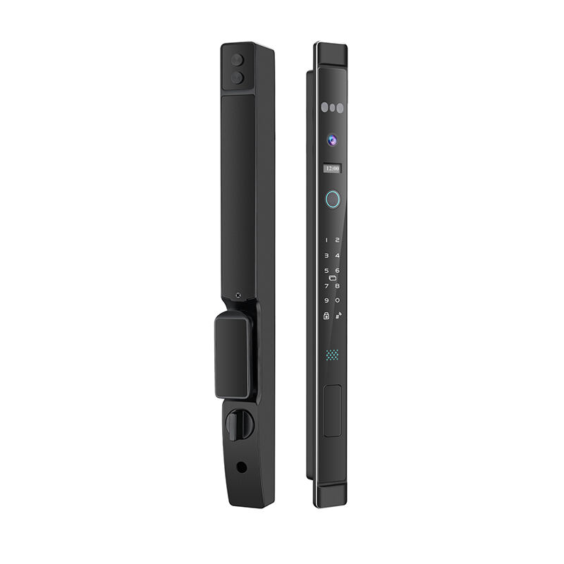 J09 Fully-automatic 3D Facial Recognition IP66 Waterproof Thermal Break Aluminum Smart Lock