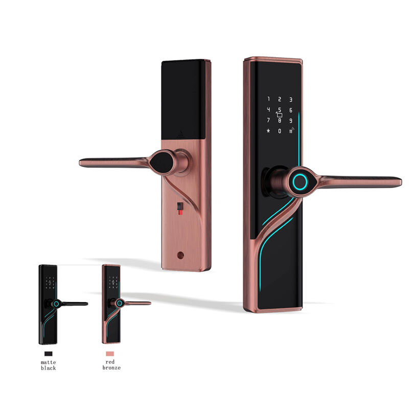 F1 Interior Door Smart Lock