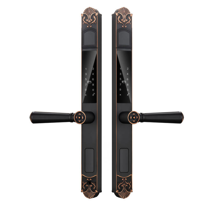 T1 Semi-automatic Dual Sided IP68 Courtyard Smart Lock