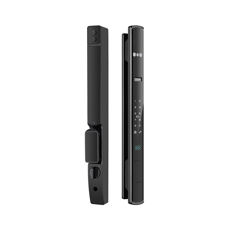 J15 Fully-automatic 3D Facial Recognition IP66 Waterproof Thermal Break Aluminum Smart Lock