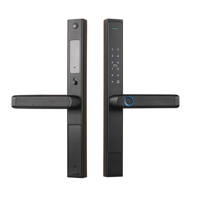 S2 Semi-automatic IP66 Waterproof Thermal Break Aluminum Smart Lock