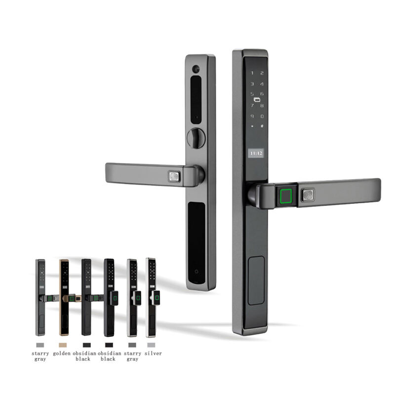 other smart locks-1