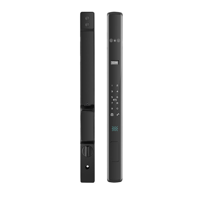 J15 Fully-automatic 3D Facial Recognition IP66 Waterproof Thermal Break Aluminum Smart Lock