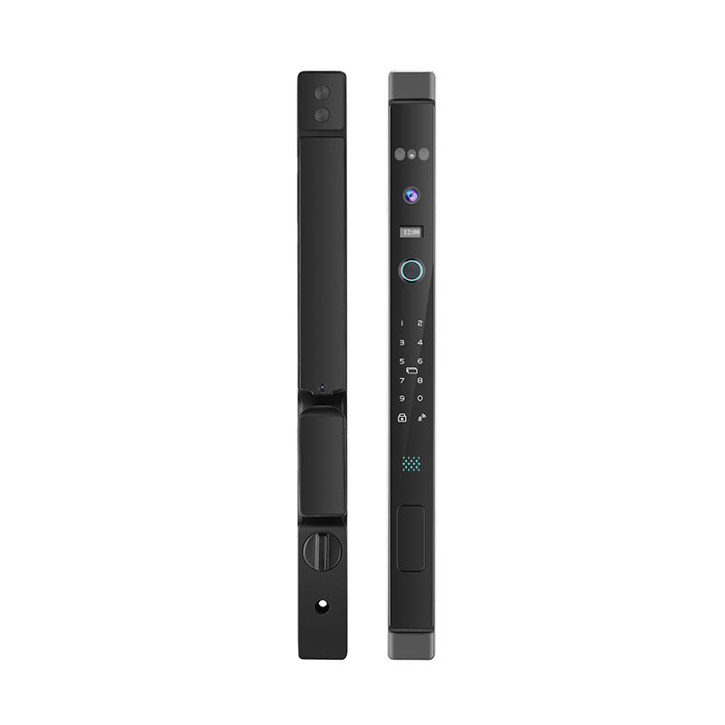J09 Fully-automatic 3D Facial Recognition IP66 Waterproof Thermal Break Aluminum Smart Lock