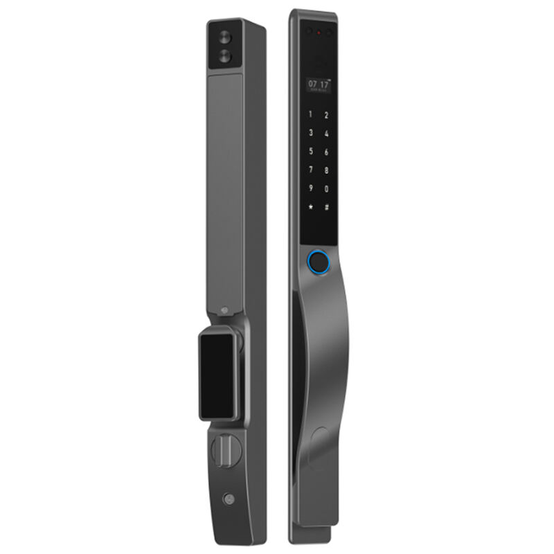 X6 Fully-automatic 3D Facial Recognition IP66 Waterproof Thermal Break Aluminum Smart Lock