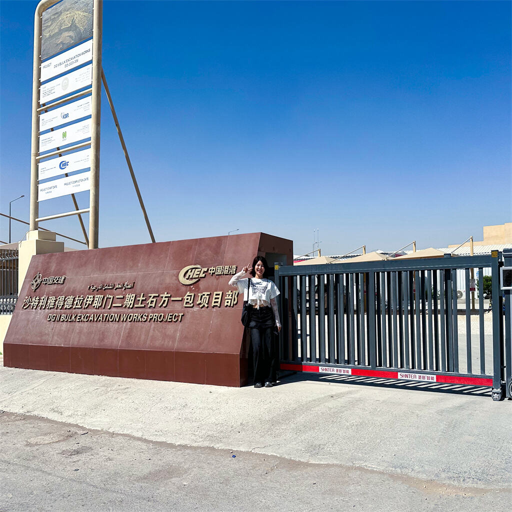 Guangxi Dinghaode Wood Industry Co., Ltd. Makes Strategic Inroads into the Middle East, Marking a Significant Milestone with Major Shipment to Saudi Arabia