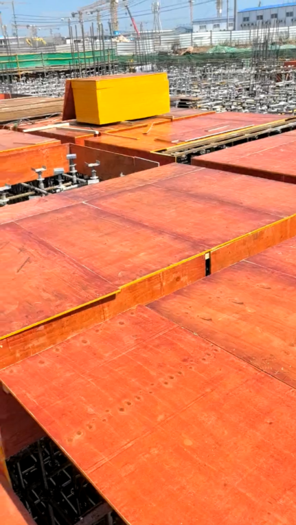 What Makes Poplar Plywood Ideal for Furniture and Cabinetry?