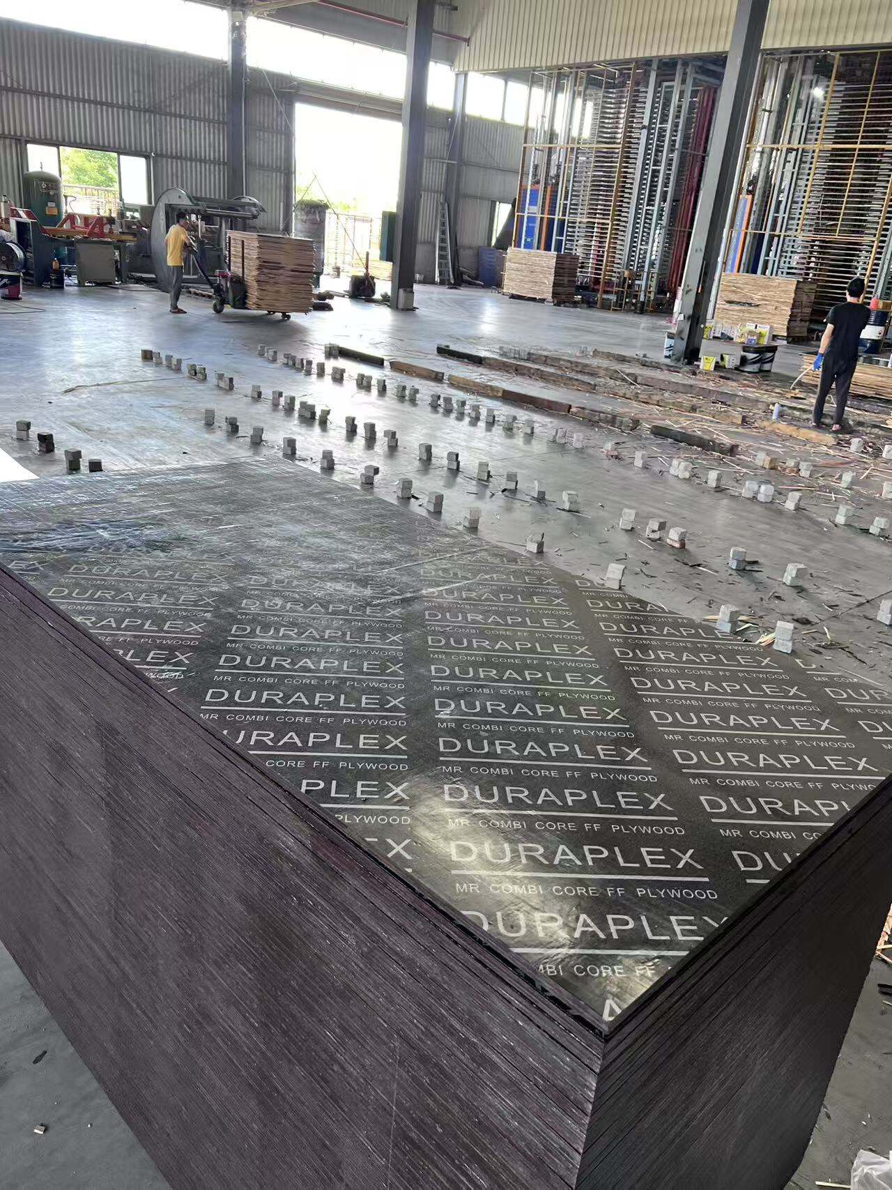 What Are the Top Applications for Phenolic Film Faced Plywood?