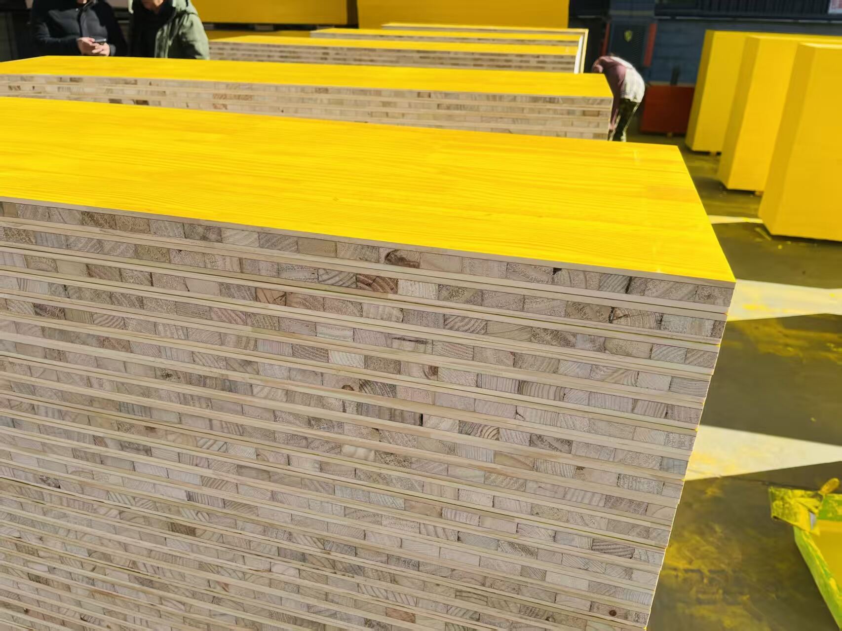How to Maximize Efficiency with 3000x500mm Shuttering Panels