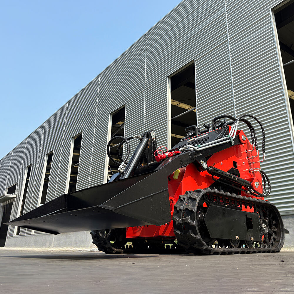 Máy xúc lật xoay tại chỗ giá cả phải chăng và tiết kiệm chi phí cho người mua sỉ