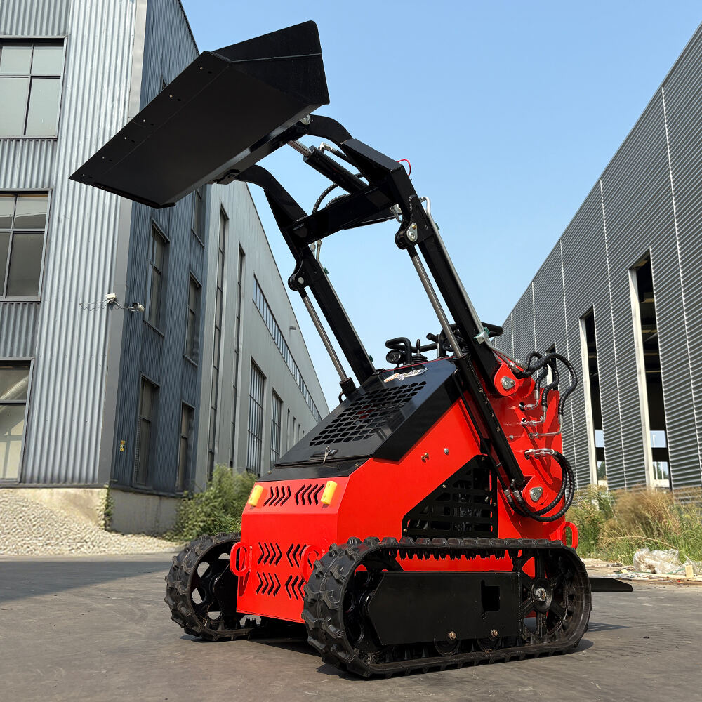 Valur Ekċezzjonali għall-Flus fit-Teknoloġija tal-Mini Loader Skid Steer