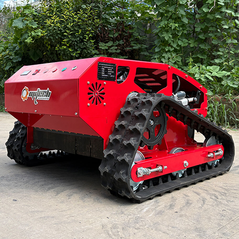 Asesoramiento experto sobre el mantenimiento de un césped hermoso