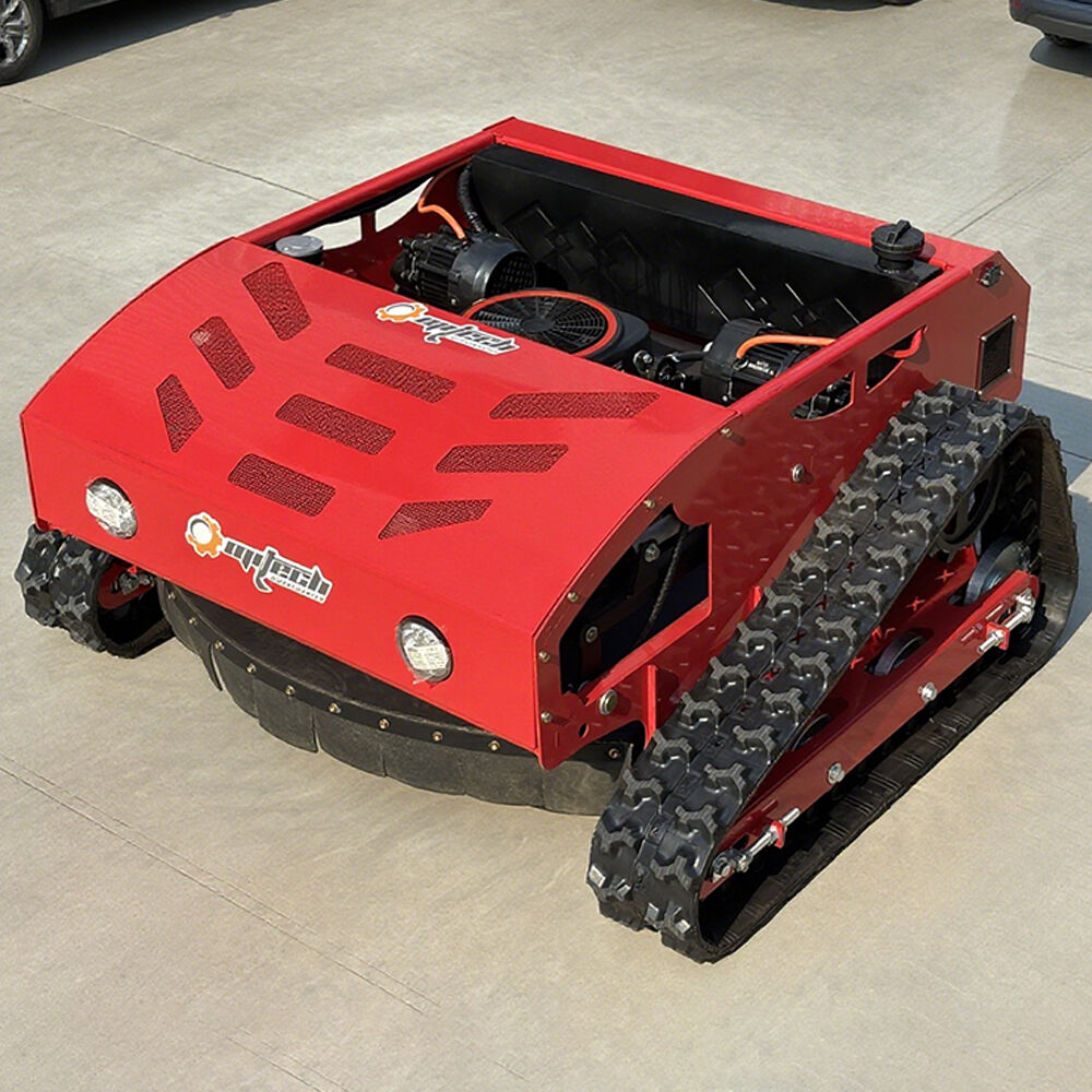 Opciones ecológicas para compradores conscientes del medio ambiente