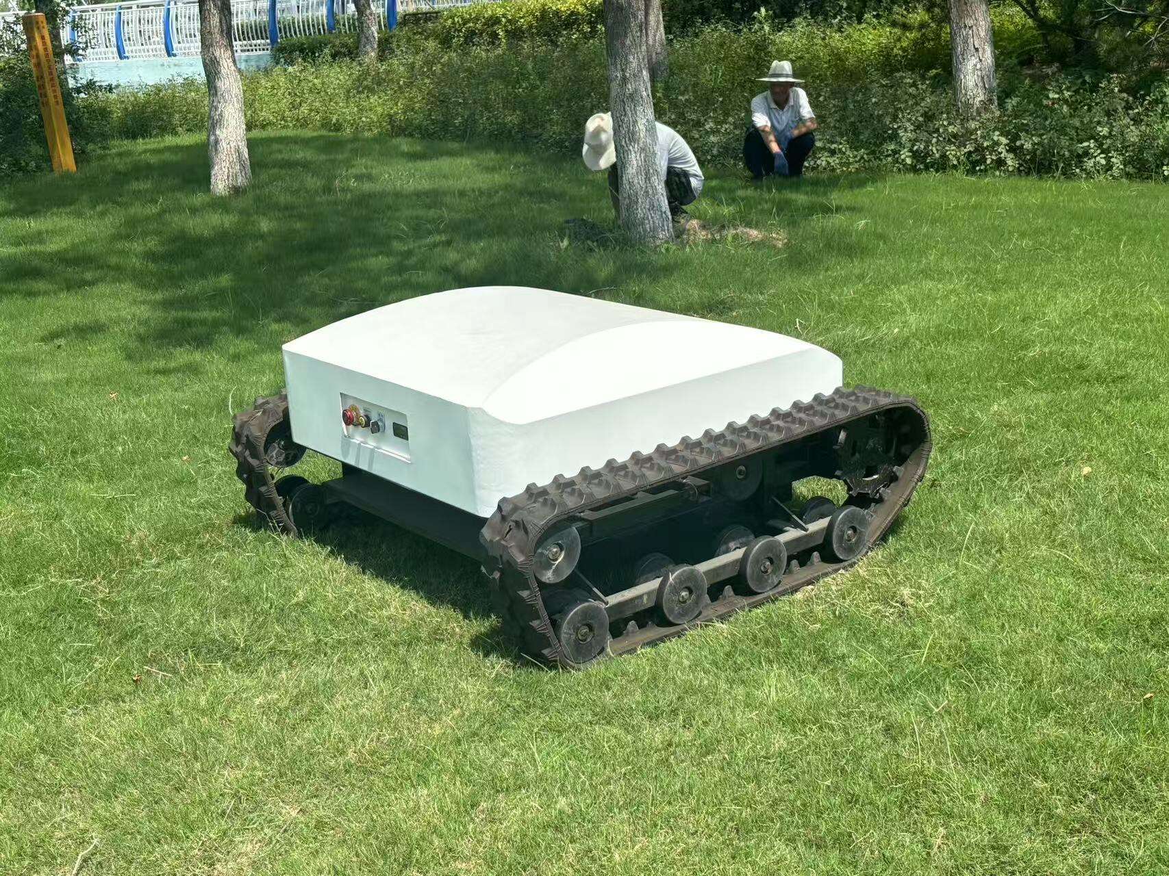 Გამოი bidding ეთერთ და თქვენ გამარჯოს უზრუნველყოფა ჩვენი ელექტრო ბალახმჭერით