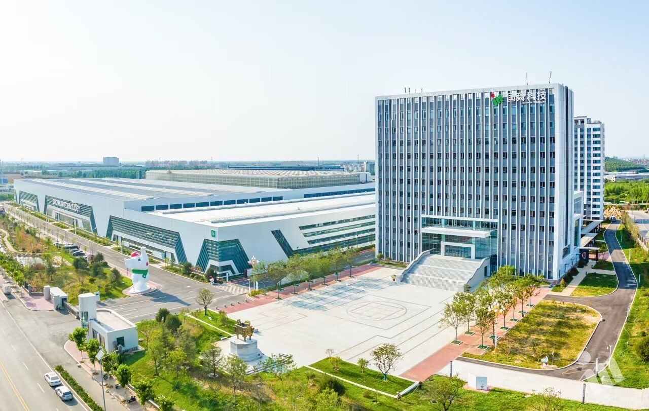 Steel Structure Office Building